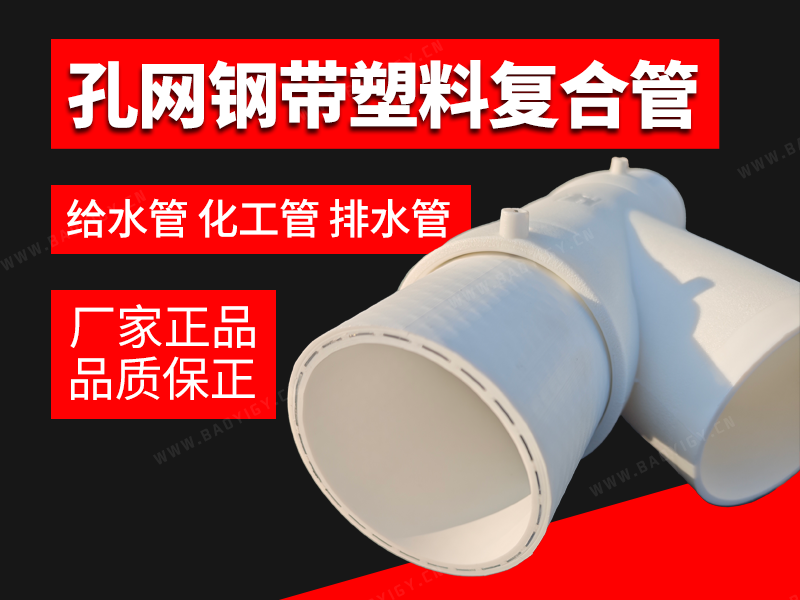 孔网钢带塑料复合管